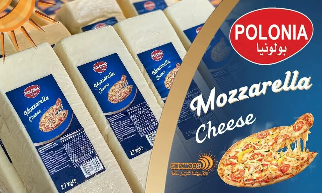 جبنة موزاريلا بولونيا
